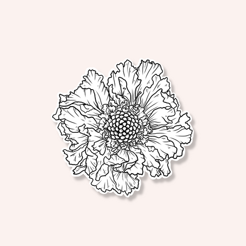 Scabiosa Sticker