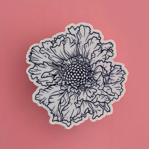 Scabiosa Sticker